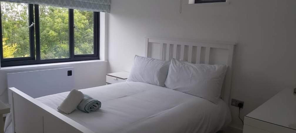 Newquay Rialton Holiday Home Eksteriør billede